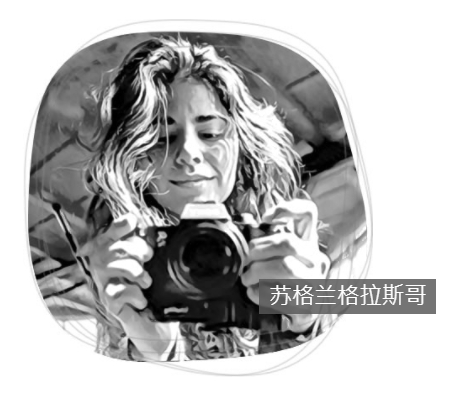 Nila Salari bootcamp profile image